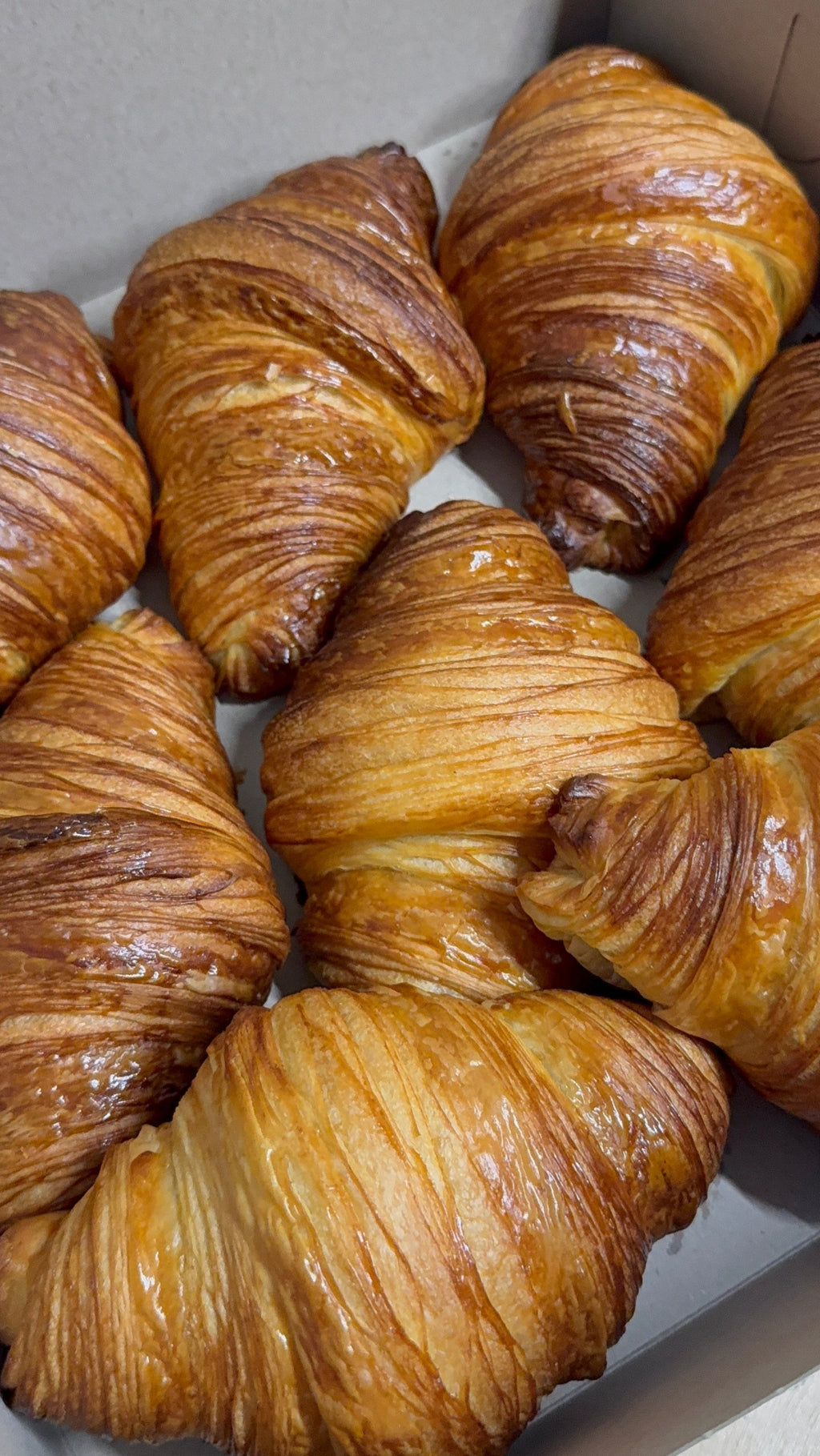 Butter Croissant (pack of 8)