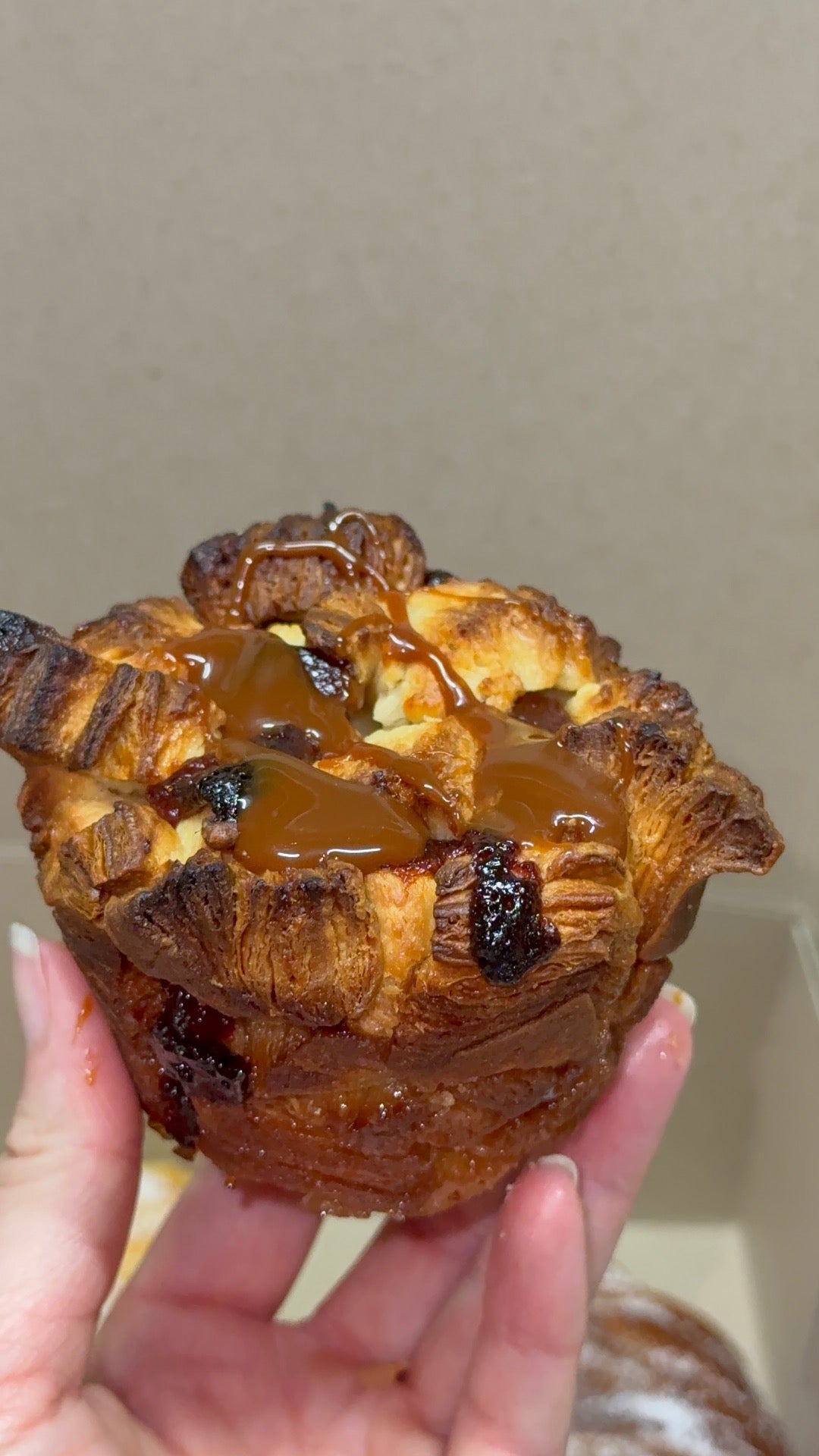 Variety Box (Pack of 8)